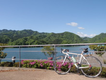 hamukenのブログ-相模湖